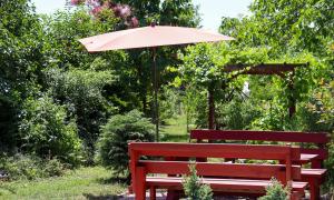 Kis árnyék a nagy melegben